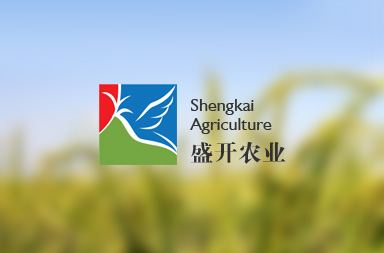 哈爾濱網(wǎng)站建設,內(nèi)蒙古網(wǎng)站設計制作