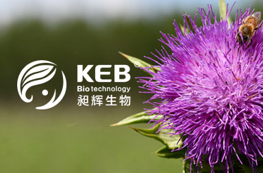 生物醫(yī)療網(wǎng)站建設(shè)|生物網(wǎng)站官網(wǎng)制作