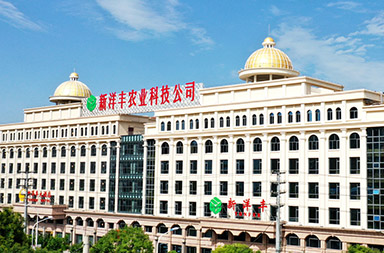 上市公司網(wǎng)站建設(shè),農(nóng)業(yè)網(wǎng)站建設(shè)